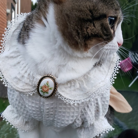 Mid-Century Cameo Floral Dress Clip - Picture 4 of 6